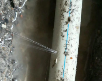 恩阳卫生间测漏水多少钱